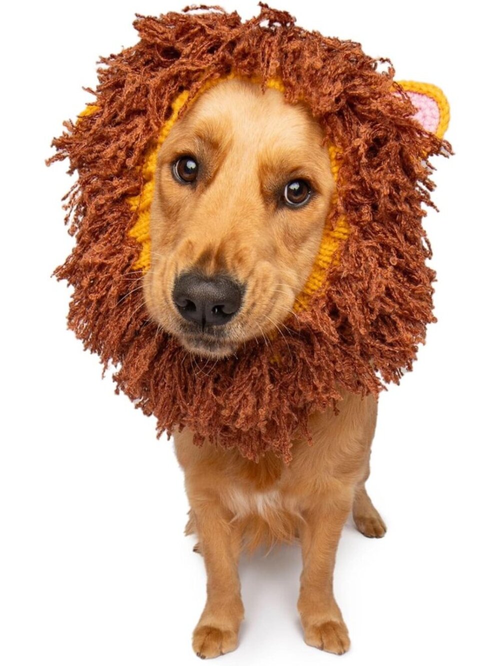 Cozy Knit Lion Mane Dog Snood - Warm Ear Wrap for Pets, Halloween & Winter